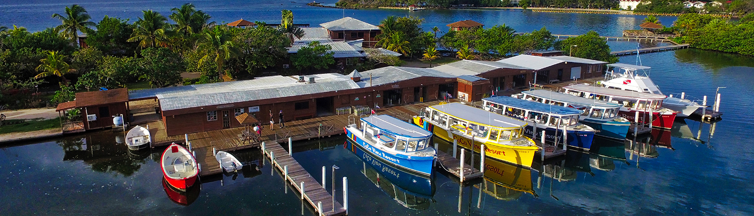 Dive Boats