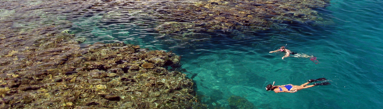 Snorkeling